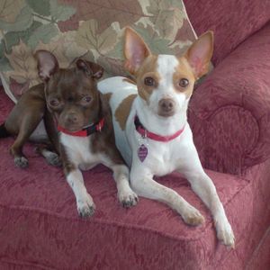 Meet your Posher, Nancy